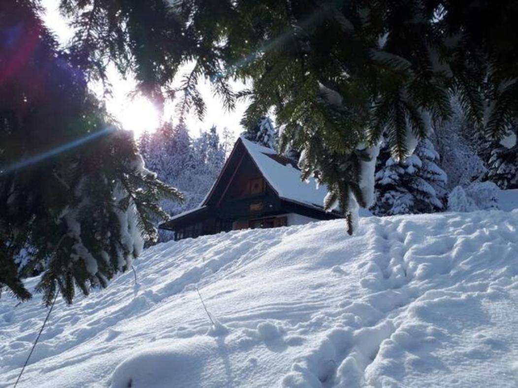 Fairytale Cottage - Peaceful Getaway Near Bled Zgornje Gorje ภายนอก รูปภาพ